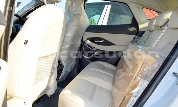 Buy Import Jaguar E-Pace White Car in Import - Dubai in Al Jazirah State Buy Import Jaguar E-Pace White Car in Import - Dubai in Al Jazirah State