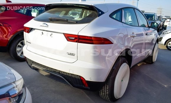 Buy Import Jaguar E-Pace White Car in Import - Dubai in Al Jazirah State Buy Import Jaguar E-Pace White Car in Import - Dubai in Al Jazirah State