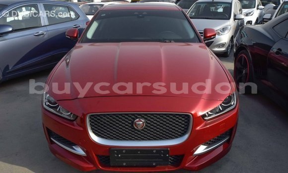 Buy Import Jaguar XE Red Car in Import - Dubai in Al Jazirah State Buy Import Jaguar XE Red Car in Import - Dubai in Al Jazirah State