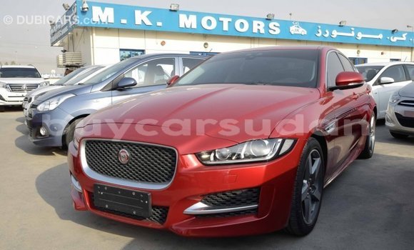 Buy Import Jaguar XE Red Car in Import - Dubai in Al Jazirah State Buy Import Jaguar XE Red Car in Import - Dubai in Al Jazirah State