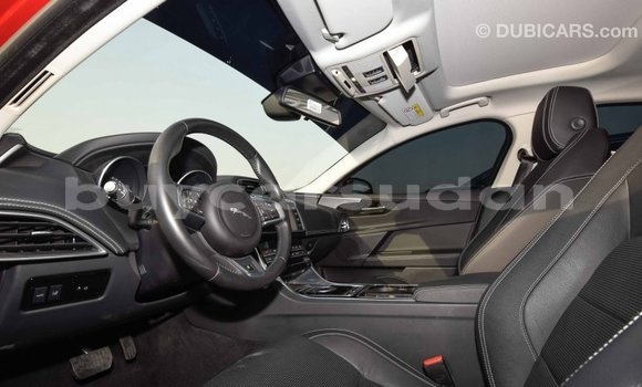 Buy Import Jaguar XE Red Car in Import - Dubai in Al Jazirah State Buy Import Jaguar XE Red Car in Import - Dubai in Al Jazirah State