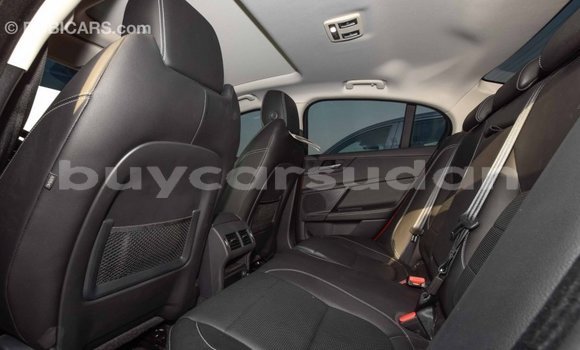 Buy Import Jaguar XE Red Car in Import - Dubai in Al Jazirah State Buy Import Jaguar XE Red Car in Import - Dubai in Al Jazirah State