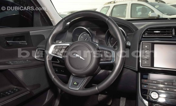 Buy Import Jaguar XE Red Car in Import - Dubai in Al Jazirah State Buy Import Jaguar XE Red Car in Import - Dubai in Al Jazirah State