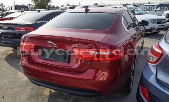 Buy Import Jaguar XE Red Car in Import - Dubai in Al Jazirah State Buy Import Jaguar XE Red Car in Import - Dubai in Al Jazirah State
