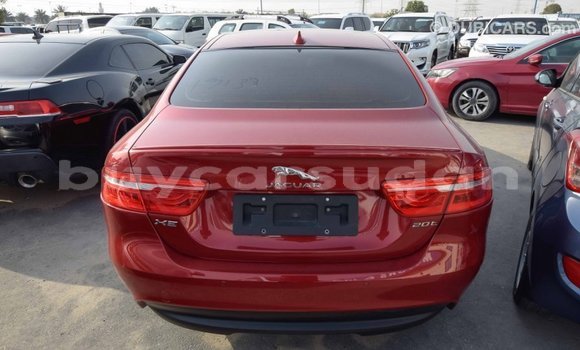 Buy Import Jaguar XE Red Car in Import - Dubai in Al Jazirah State Buy Import Jaguar XE Red Car in Import - Dubai in Al Jazirah State