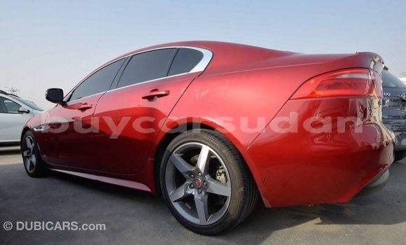 Buy Import Jaguar XE Red Car in Import - Dubai in Al Jazirah State Buy Import Jaguar XE Red Car in Import - Dubai in Al Jazirah State