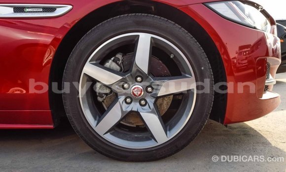 Buy Import Jaguar XE Red Car in Import - Dubai in Al Jazirah State Buy Import Jaguar XE Red Car in Import - Dubai in Al Jazirah State