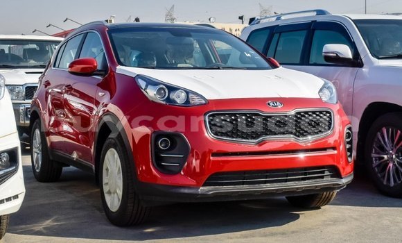 Buy Import Kia Sportage Red Car in Import - Dubai in Al Jazirah State Buy Import Kia Sportage Red Car in Import - Dubai in Al Jazirah State