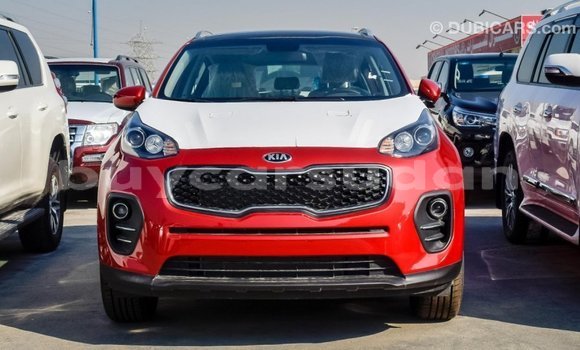 Buy Import Kia Sportage Red Car in Import - Dubai in Al Jazirah State Buy Import Kia Sportage Red Car in Import - Dubai in Al Jazirah State
