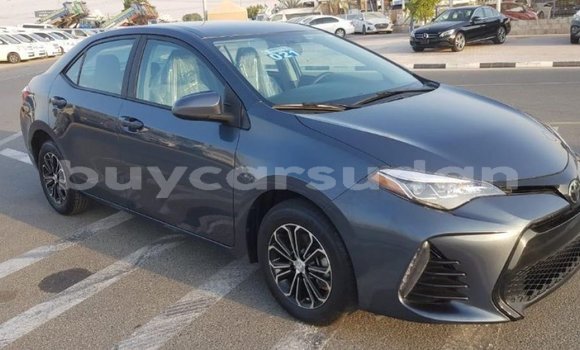 Buy Import Toyota Corolla Other Car in Import - Dubai in Al Jazirah State Buy Import Toyota Corolla Other Car in Import - Dubai in Al Jazirah State