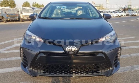 Buy Import Toyota Corolla Other Car in Import - Dubai in Al Jazirah State Buy Import Toyota Corolla Other Car in Import - Dubai in Al Jazirah State
