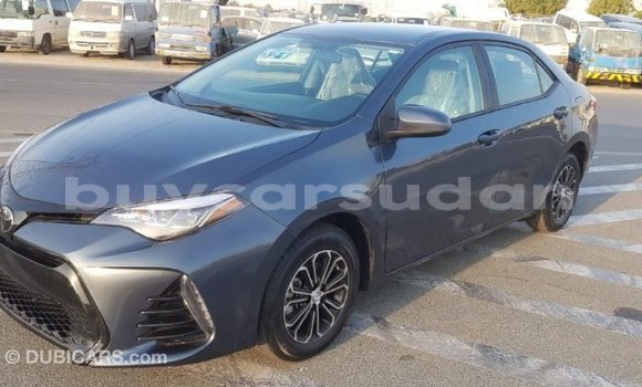 Buy Import Toyota Corolla Other Car in Import - Dubai in Al Jazirah State Buy Import Toyota Corolla Other Car in Import - Dubai in Al Jazirah State