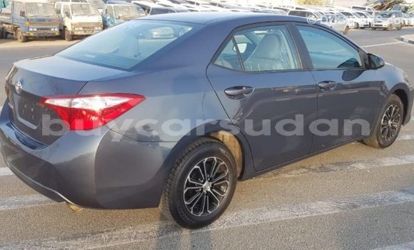 Buy Import Toyota Corolla Other Car in Import - Dubai in Al Jazirah State Buy Import Toyota Corolla Other Car in Import - Dubai in Al Jazirah State