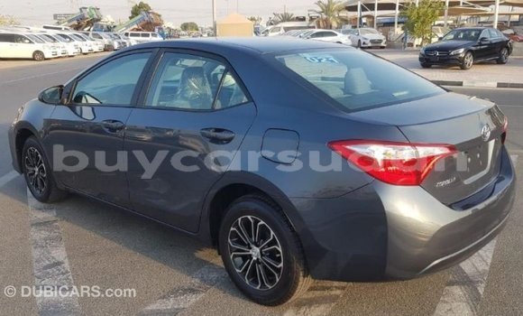 Buy Import Toyota Corolla Other Car in Import - Dubai in Al Jazirah State Buy Import Toyota Corolla Other Car in Import - Dubai in Al Jazirah State