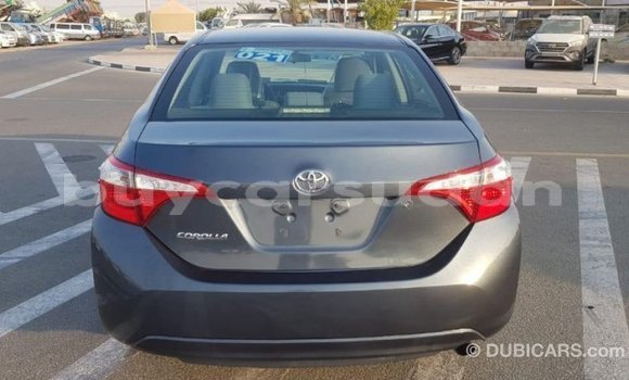 Buy Import Toyota Corolla Other Car in Import - Dubai in Al Jazirah State Buy Import Toyota Corolla Other Car in Import - Dubai in Al Jazirah State
