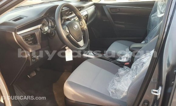 Buy Import Toyota Corolla Other Car in Import - Dubai in Al Jazirah State Buy Import Toyota Corolla Other Car in Import - Dubai in Al Jazirah State