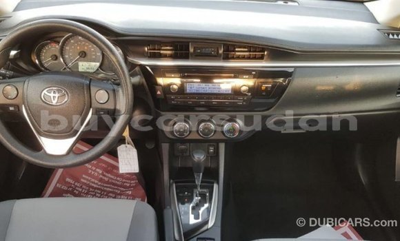 Buy Import Toyota Corolla Other Car in Import - Dubai in Al Jazirah State Buy Import Toyota Corolla Other Car in Import - Dubai in Al Jazirah State