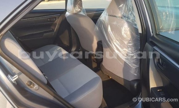 Buy Import Toyota Corolla Other Car in Import - Dubai in Al Jazirah State Buy Import Toyota Corolla Other Car in Import - Dubai in Al Jazirah State