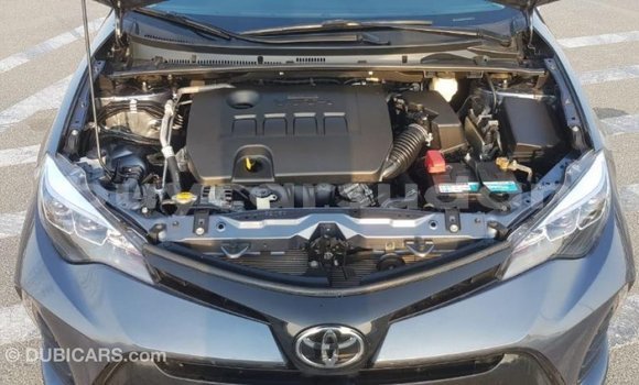 Buy Import Toyota Corolla Other Car in Import - Dubai in Al Jazirah State Buy Import Toyota Corolla Other Car in Import - Dubai in Al Jazirah State