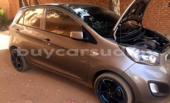 Buy Used Kia picanto Other Car in Dongola in Northern