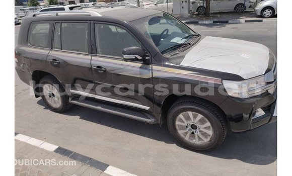 Buy Import Toyota Land Cruiser Other Car in Import - Dubai in Al Jazirah State Buy Import Toyota Land Cruiser Other Car in Import - Dubai in Al Jazirah State