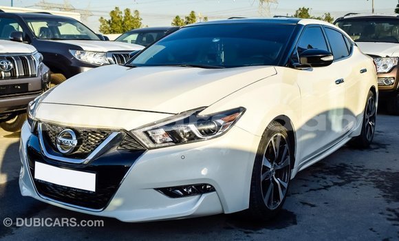 Buy Import Nissan Maxima White Car in Import - Dubai in Al Jazirah State Buy Import Nissan Maxima White Car in Import - Dubai in Al Jazirah State