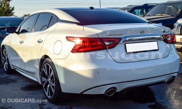 Buy Import Nissan Maxima White Car in Import - Dubai in Al Jazirah State Buy Import Nissan Maxima White Car in Import - Dubai in Al Jazirah State