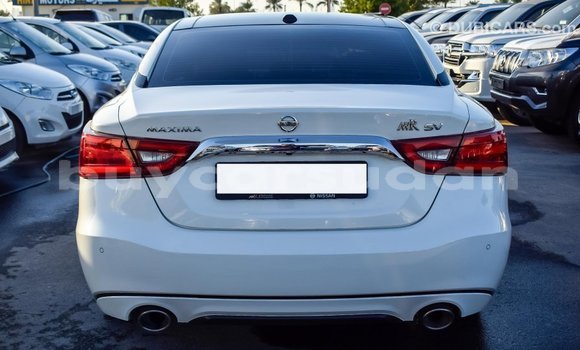 Buy Import Nissan Maxima White Car in Import - Dubai in Al Jazirah State Buy Import Nissan Maxima White Car in Import - Dubai in Al Jazirah State