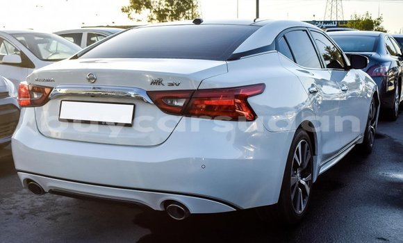 Buy Import Nissan Maxima White Car in Import - Dubai in Al Jazirah State Buy Import Nissan Maxima White Car in Import - Dubai in Al Jazirah State