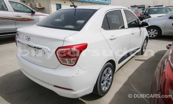 Buy Import Hyundai i10 White Car in Import - Dubai in Al Jazirah State Buy Import Hyundai i10 White Car in Import - Dubai in Al Jazirah State