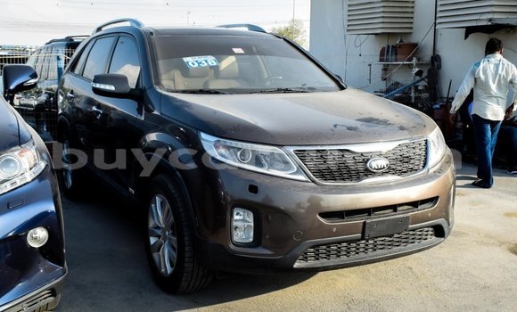 Buy Import Kia Sorento Brown Car in Import - Dubai in Al Jazirah State Buy Import Kia Sorento Brown Car in Import - Dubai in Al Jazirah State