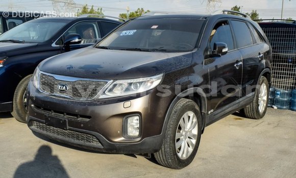 Buy Import Kia Sorento Brown Car in Import - Dubai in Al Jazirah State Buy Import Kia Sorento Brown Car in Import - Dubai in Al Jazirah State