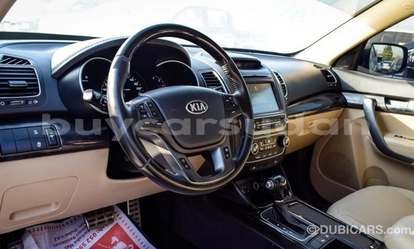 Buy Import Kia Sorento Brown Car in Import - Dubai in Al Jazirah State Buy Import Kia Sorento Brown Car in Import - Dubai in Al Jazirah State