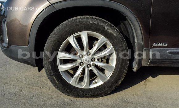 Buy Import Kia Sorento Brown Car in Import - Dubai in Al Jazirah State Buy Import Kia Sorento Brown Car in Import - Dubai in Al Jazirah State