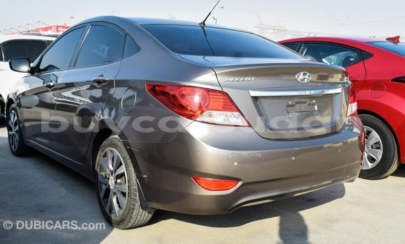 Buy Import Hyundai Accent Brown Car in Import - Dubai in Al Jazirah State Buy Import Hyundai Accent Brown Car in Import - Dubai in Al Jazirah State