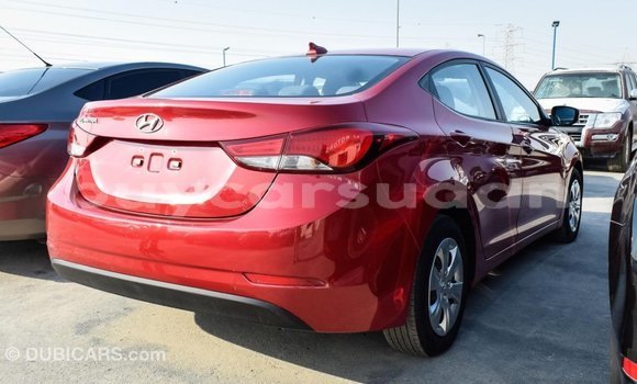 Buy Import Hyundai Elantra Red Car in Import - Dubai in Al Jazirah State Buy Import Hyundai Elantra Red Car in Import - Dubai in Al Jazirah State