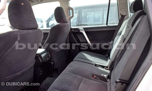 Buy Import Toyota Prado Other Car in Import - Dubai in Al Jazirah State Buy Import Toyota Prado Other Car in Import - Dubai in Al Jazirah State