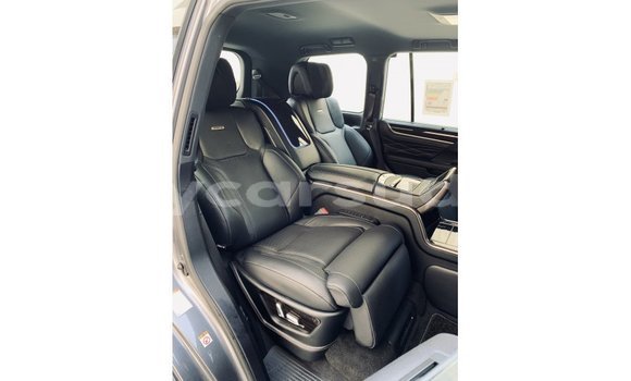 Buy Import Lexus LX Other Car in Import - Dubai in Al Jazirah State Buy Import Lexus LX Other Car in Import - Dubai in Al Jazirah State