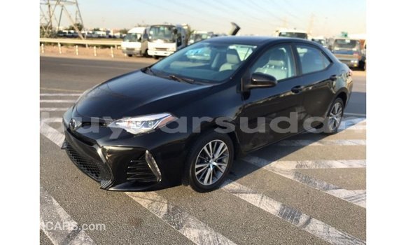 Buy Import Toyota Corolla Black Car in Import - Dubai in Al Jazirah State Buy Import Toyota Corolla Black Car in Import - Dubai in Al Jazirah State