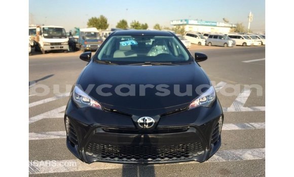 Buy Import Toyota Corolla Black Car in Import - Dubai in Al Jazirah State Buy Import Toyota Corolla Black Car in Import - Dubai in Al Jazirah State