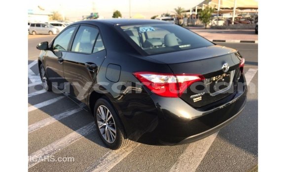 Buy Import Toyota Corolla Black Car in Import - Dubai in Al Jazirah State Buy Import Toyota Corolla Black Car in Import - Dubai in Al Jazirah State
