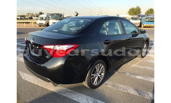 Buy Import Toyota Corolla Black Car in Import - Dubai in Al Jazirah State Buy Import Toyota Corolla Black Car in Import - Dubai in Al Jazirah State