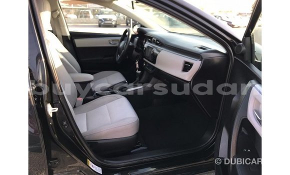 Buy Import Toyota Corolla Black Car in Import - Dubai in Al Jazirah State Buy Import Toyota Corolla Black Car in Import - Dubai in Al Jazirah State