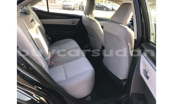 Buy Import Toyota Corolla Black Car in Import - Dubai in Al Jazirah State Buy Import Toyota Corolla Black Car in Import - Dubai in Al Jazirah State
