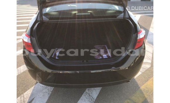 Buy Import Toyota Corolla Black Car in Import - Dubai in Al Jazirah State Buy Import Toyota Corolla Black Car in Import - Dubai in Al Jazirah State