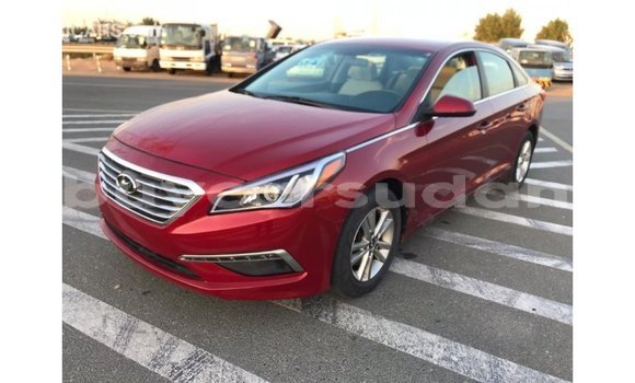 Buy Import Hyundai Sonata Red Car in Import - Dubai in Al Jazirah State Buy Import Hyundai Sonata Red Car in Import - Dubai in Al Jazirah State