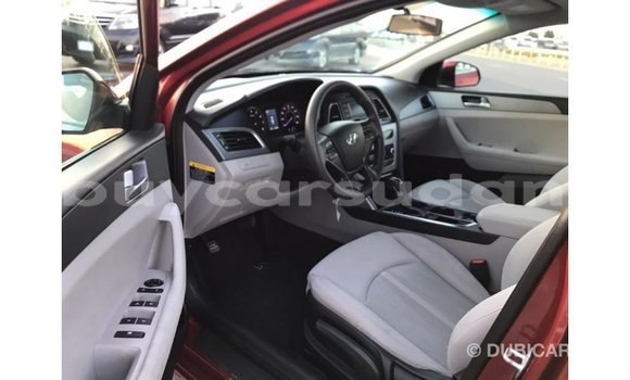 Buy Import Hyundai Sonata Red Car in Import - Dubai in Al Jazirah State Buy Import Hyundai Sonata Red Car in Import - Dubai in Al Jazirah State