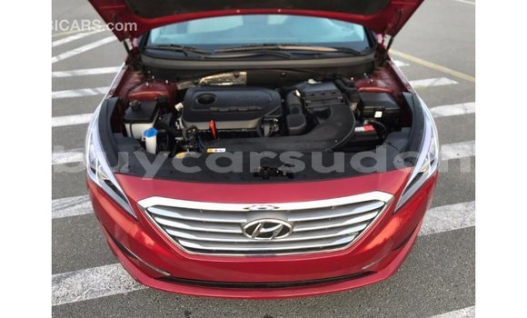 Buy Import Hyundai Sonata Red Car in Import - Dubai in Al Jazirah State Buy Import Hyundai Sonata Red Car in Import - Dubai in Al Jazirah State