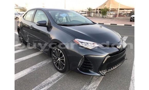 Buy Import Toyota Corolla Other Car in Import - Dubai in Al Jazirah State Buy Import Toyota Corolla Other Car in Import - Dubai in Al Jazirah State