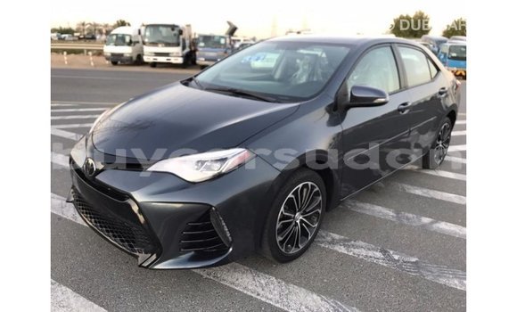 Buy Import Toyota Corolla Other Car in Import - Dubai in Al Jazirah State Buy Import Toyota Corolla Other Car in Import - Dubai in Al Jazirah State
